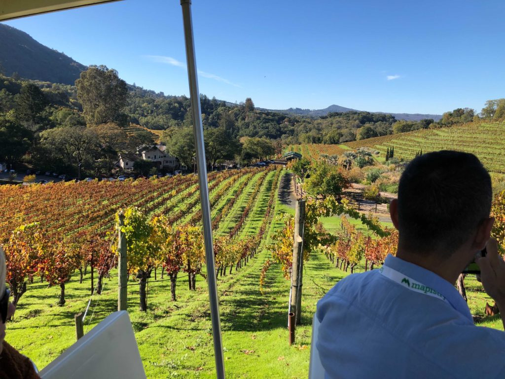 California vineyard